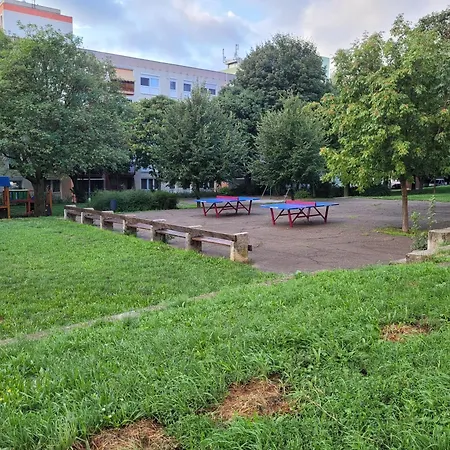 Spot